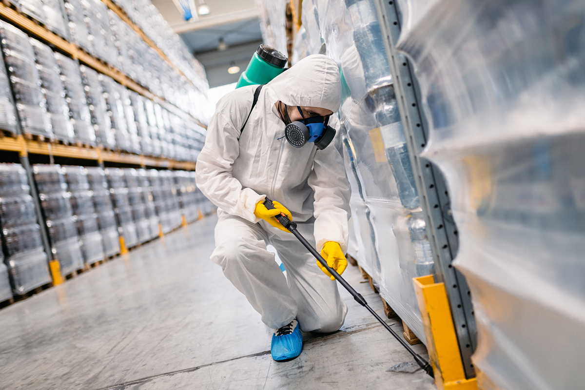 Comprehensive Pest Control Services: Tailored Solutions for Every Need